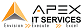 Apex IT Services