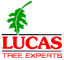 Lucas Tree Expert Co, Inc