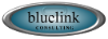 Bluelink Consulting