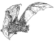 All About Bats & Wildlife, Inc.